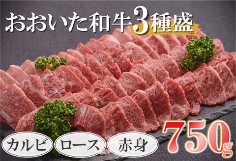 おおいた和牛3種盛（カルビ・ロース・赤身各250g 小分け 牛肉 和牛 豊後牛 焼肉 焼き肉セット 大分県産 中津市