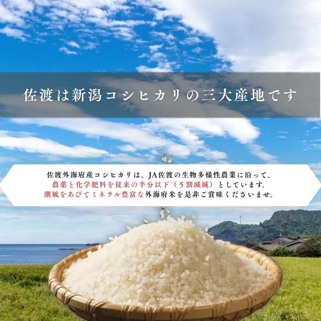 コシヒカリ 精米 5kg 令和7年 | 新潟県 佐渡市 コシヒカリ