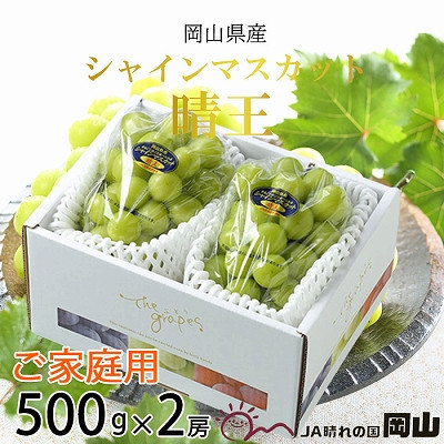 【2026年8月下旬より発送】ご家庭用 岡山県産 シャインマスカット 晴王 500g×2房 ぶどう 葡萄 ブドウ フルーツ 果物