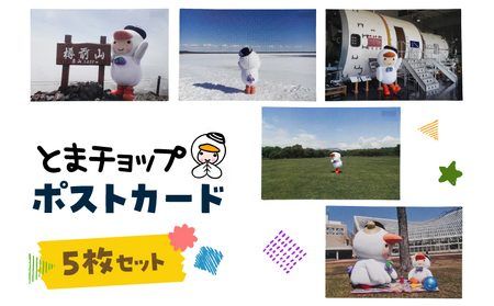 ポストカード 5枚セット T042-019 雑貨 文房具