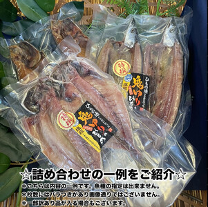 厳選！小田原の旬の干物セット 竹【 まぐろや 神奈川県小田原市 干物 干物 干物  干物 干物】