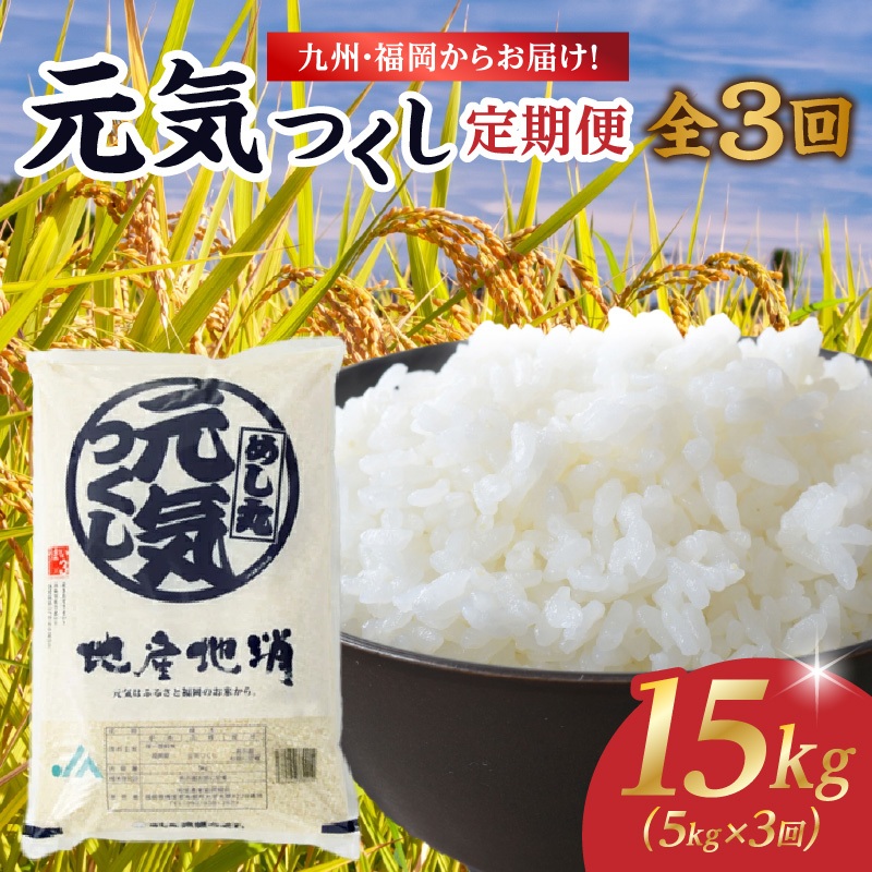 九州・福岡からお届け！ブランド米「元気つくし」定期便【全３回】　※配送不可：北海道と離島（沖縄本島を含む）