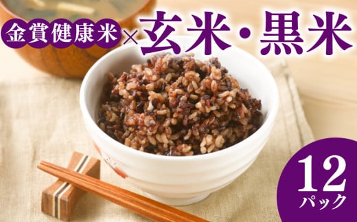 ご飯パック 金賞 健康米 玄米・黒米  120g×12個入り 国産 レンチン もち麦 軽食 夜食 簡単 白米 麦 食物繊維 ビタミン 御飯 ごはん パック ご飯 パックライス