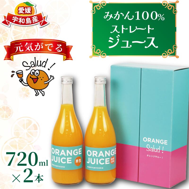 【ふるさと納税】 ジュース 元気がでる みかん 100％ ストレート ジュース 早生 南柑20号 各720ml × 2本 セット ORANGE Salud! オレンジサルー 温州みかん みかんジュース 100%ジュース 蜜柑 mikan フルーツ 果汁 飲料 果物 くだもの 数量限定 国産 愛媛 宇和島 H010-196001