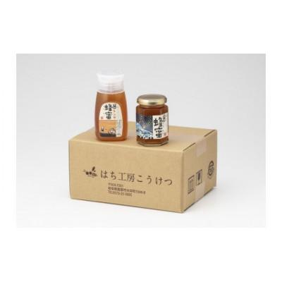 ふるさと納税 恵那市 恵那蜂蜜2本セット(蓮華蜂蜜300g1本、百花蜂蜜180g1本)
