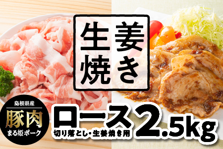 まる姫ポーク　ロース生姜焼き用（200g×5）・ロース切り落とし（300g×5）計2.5kg【AK-51】｜送料無料 国産 まる姫ポーク 豚肉 ぶた肉 ぶたにく 肉 ロース生姜焼き用 ロース 生姜焼き ロース切り落とし 切り落とし  肉 豚肉 肉 豚肉 肉 豚肉 肉 豚肉 肉 豚肉 料理 便利 小分け パック 江津市｜