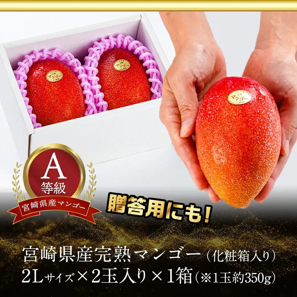 宮崎県産完熟マンゴー(A等級) 【2L以上×2玉】〔22-0101〕_(都城市) 宮崎県産 完熟マンゴー 化粧箱入り 2Lサイズ 糖度13度以上 A等級品 南国宮崎