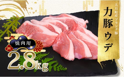 
                  国産 豚肉 ウデ肉 焼肉用2.8kg (200g×14P)｜力豚 小分け 使いやすい ブランド豚 脂 うで肉 真空パック 冷凍 ポーク 焼き肉 旨み 濃い 家族焼肉 BBQ お取り寄せ 簡単調理 ご当地 配達日指定可 おすすめ 人気 高知県 大月町
                
