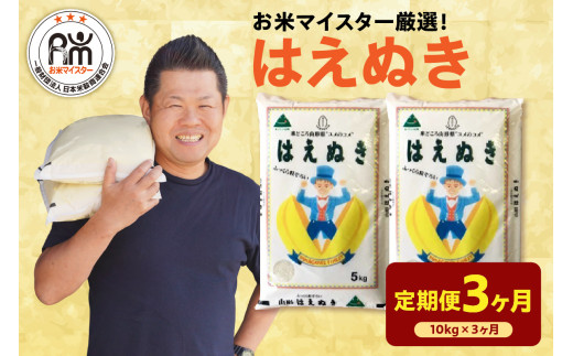 【先行予約】3ヶ月定期便 令和8年産 はえぬき 10kg ( 5kg × 2袋 ) × 3回 計30kg 2026年産 山形県 精米 米 白米 お米 ブランド米 お米マイスター 厳選米 山形県 米沢市 送料無料