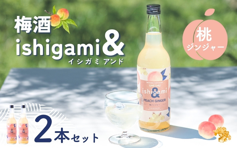 
                  梅酒 ishigami&（イシガミアンド）（桃ジンジャー） 600ml×2本 /  桃 生姜 梅干し 梅 うめ 炭酸割り ロック 和歌山 田辺市 紀州産 南高梅 完熟梅 フルーツ【isg043】
                