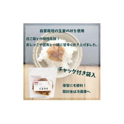 ふるさと納税 佐川町 【佃煮2袋・シロップ1個】ごはんのお供(A) |  | 01