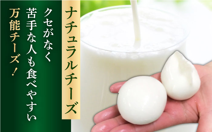 【全3回定期便】贅沢自家製チーズ2種セット（燻製ナチュラルチーズ2袋 サンモッツァ2袋）【山の未来舎】 [YBV035]
