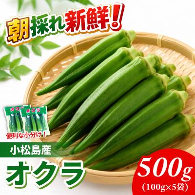 ふるさと納税 小松島市 新鮮 朝採れ オクラ 500g 夏バテ防止  産地直送 小分け おくら 冷蔵便 小松島市
