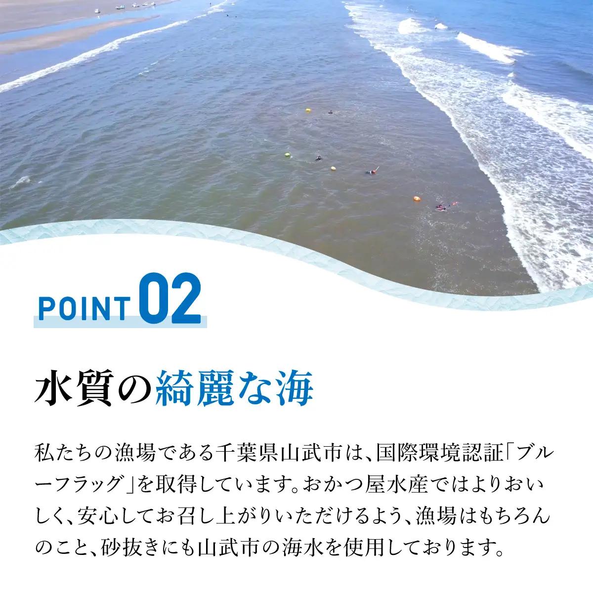 【千葉県ブランド認定】天然特大活はまぐり《1.5㎏》／ふるさと納税 はまぐり ハマグリ 蛤 貝類 魚介 海鮮 お吸い物 パスタ パエリア お歳暮 贈答 お祝い 千葉県 山武市 SMBO003