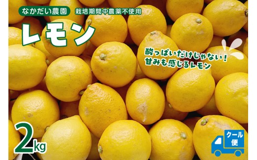 【2026年5月～発送】 栽培期間中農薬不使用 ｢レモン｣ 約2kg 特別栽培 酸味 旨み 国産 レモン 【クール便】 ku033-003-25