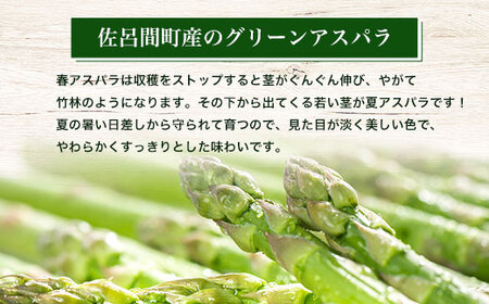 【先行受付】春採りグリーンアスパラ 1kg 2L以上 佐呂間町産（2026年3月末より順次発送予定） SRMM033