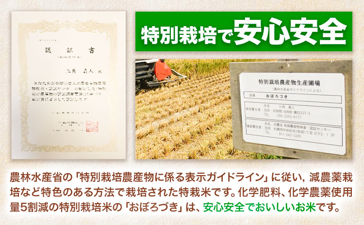 【2-4-63】【令和7年産先行受付】ファームふたば特別栽培米「おぼろづき」10kg《10月中旬～（新米収穫出来次第、出荷）》 産地直送 お取り寄せ 国産 北海道産 当別町産 お米 精米 白米 弁当 