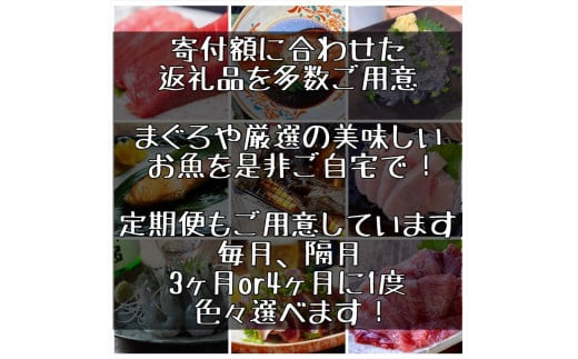 王様の塩辛 青唐 3本【イカ 塩辛 珍味 おつまみ 惣菜 海鮮 いかの塩辛 珍味 お取り寄せ 御中元 お中元 お歳暮 父の日 母の日 贈り物 日本酒 焼酎】【神奈川県小田原市早川】