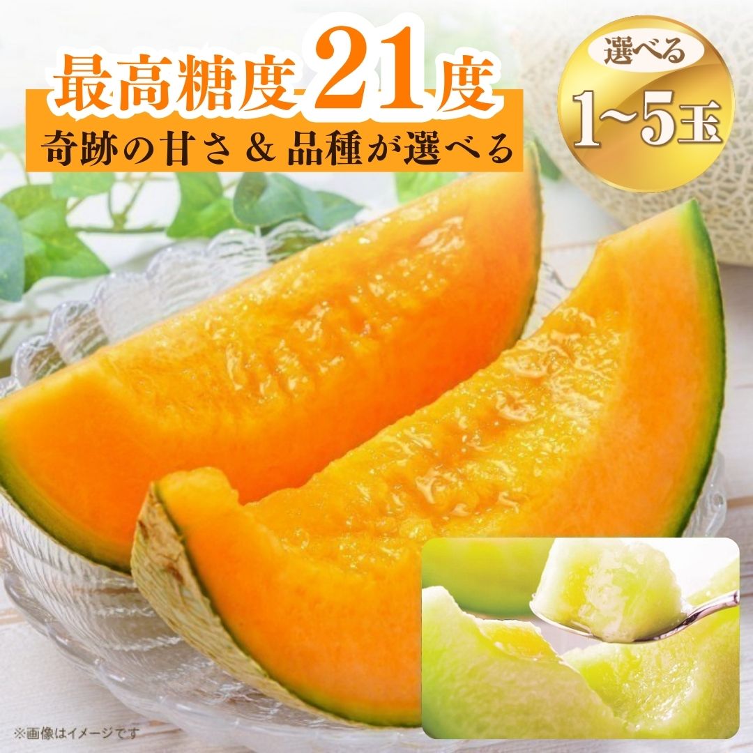 【ふるさと納税】受付終了間近！糖度 21度以上のメロン！日本一の生産量！奇跡の めろん クインシー キスグリーン 1〜5玉 赤肉 青肉 人気 おすすめ 甘い 濃厚 高糖度 自家栽培 メロン 贈答用 プレゼント 送料無料 片岡農園 クレストファーム 茨城県 フルーツ