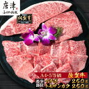 【ふるさと納税】佐賀牛 希少部位イチボ250gとトモサンカク250gの焼肉セット(合計500g) 和牛 牛肉 ご褒美に ギフト用 家族 焼肉 セット「2025年 令和7年」