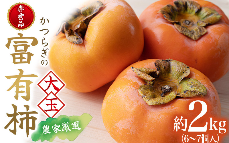 
            富有柿 赤秀品大玉6個～7個入 こだわり農家厳選［KG30］【kgr019】
          