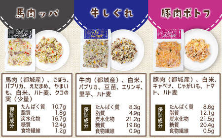 手づくり☆わんご飯『10種のわんだふるセット』_AC-J501_(都城市) 犬用 手づくりご飯 鶏ごぼうご飯 サーモンリゾット すき焼き風ご飯 とまとスープご飯 ぶり大根 馬肉ッパ 牛しぐれ等 ペット