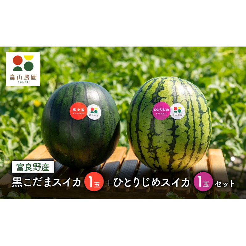 【2026年夏発送】（数量限定）黒こだまスイカ 1玉＋ひとりじめスイカ1玉セット 北海道 富良野産 すいか 西瓜   夏 フルーツ ふらの 甘い 糖度 大玉 ギフト (畠山農園）