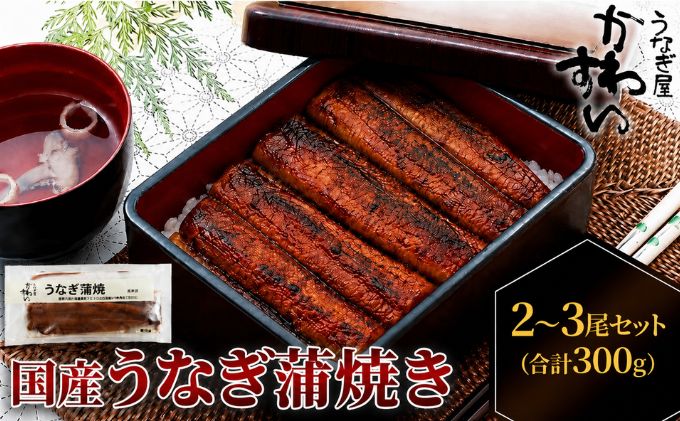 国産うなぎ  蒲焼き 2～3尾セット(合計300g) タレ付き 国産 うなぎ ウナギ 鰻 蒲焼 かば焼き セット 惣菜 冷凍 土用
