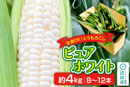 とうもろこし ピュアホワイト 約4kg（8～12本）山口いちご園