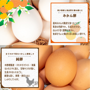  卵 3種食べ比べセット 計30個  ※割れ保証5個含む 卵 【VEG092】