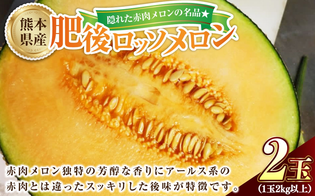 
                  隠れた赤肉メロンの名品 ☆ 肥後ロッソメロン ロッソメロン メロン 国産 熊本県産 果物 くだもの フルーツ 果実 赤肉 ロッソ 【2026年6月下旬発送開始】
                