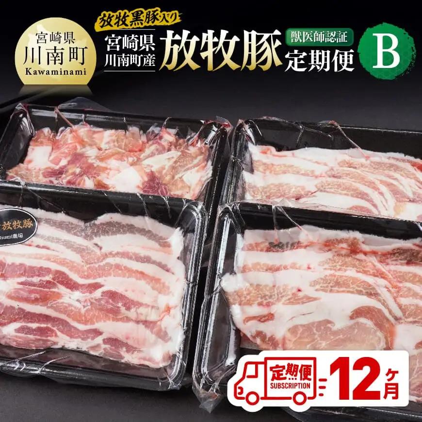 【12ヶ月定期便】宮崎県川南町産 放牧豚定期便B（放牧黒豚入り） 【 豚 肉 豚肉 黒豚 国産 九州産 宮崎県産 川南町 加工品 セット 送料無料 】