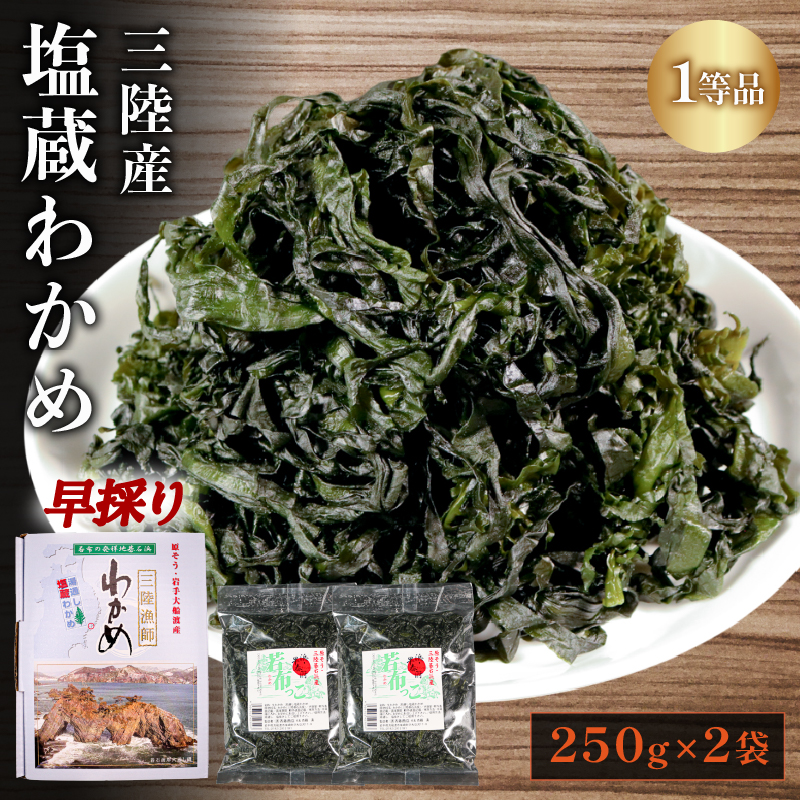 早採り 塩蔵わかめ 若芽っこ 250g×2袋 (計500g)