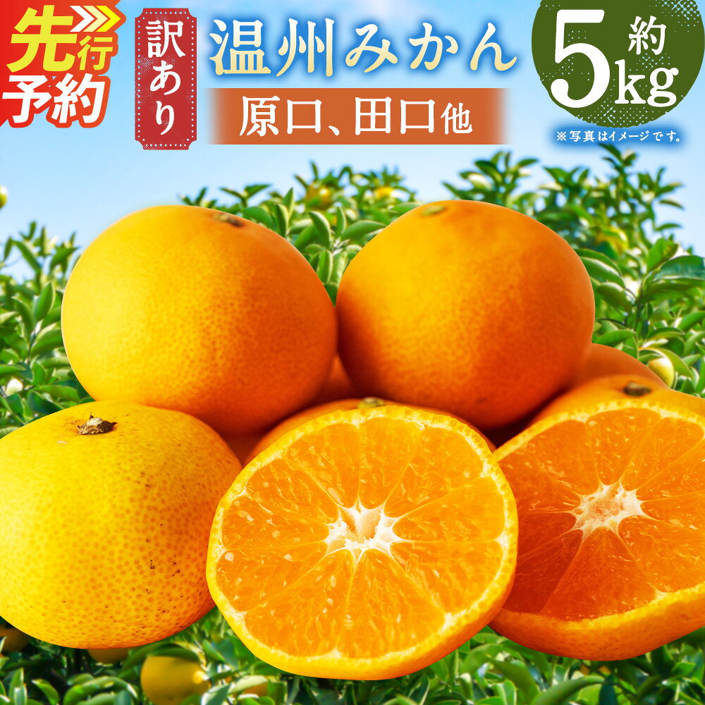 【ふるさと納税】【訳あり】 長崎県時津町産 温州みかん（原口、田口他） 計約5kg 2L～3Lサイズ ミカン 蜜柑 くだもの 果物 果実 フルーツ 長崎県産 国産 九州 長崎県 時津町 送料無料 【年内発送：2026年11月下旬～12月下旬迄発送予定】
