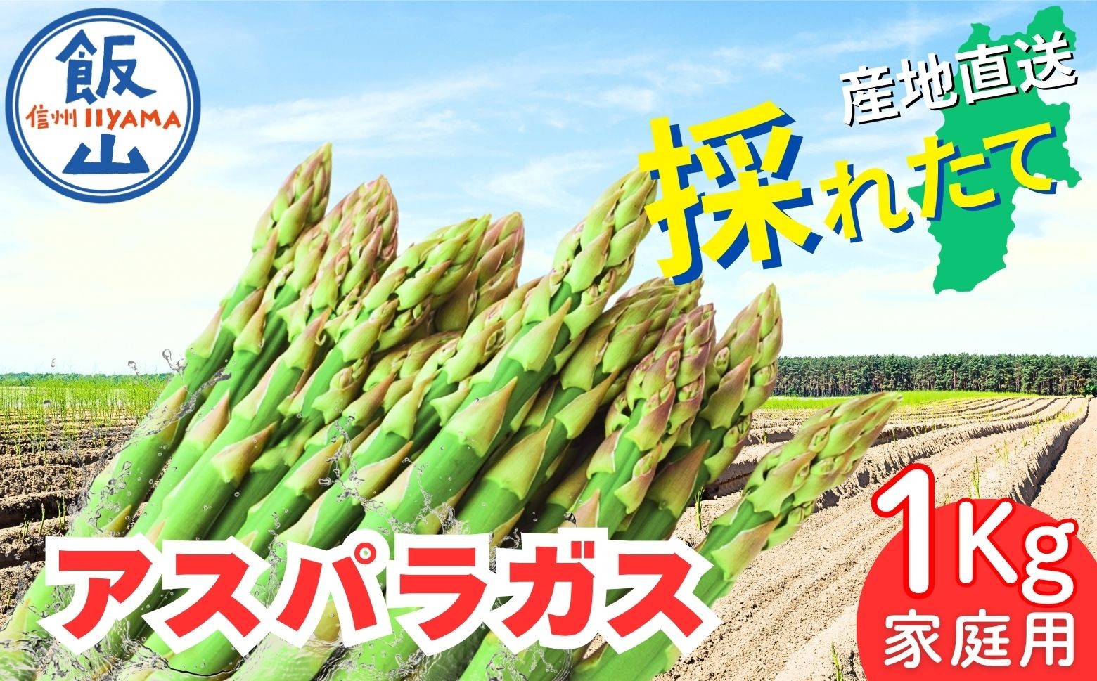 
                  【2026年発送 先行予約】飯山産新鮮アスパラ 家庭用 10束(1束3〜6本）1kg《出荷時期：2026年5月上旬〜》（At-028）│信州 飯山 アスパラ 春アスパラ 露地栽培 おすすめ
                