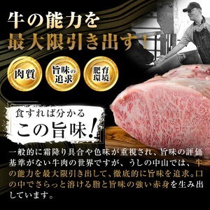 鹿児島県産黒毛和牛すき焼き肉霜降りローススライス(2人前400g/400g×1P) c5-041