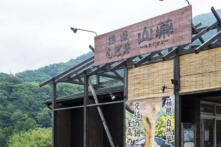 お店の味をご家庭で。【箱根自然薯の森 山薬】自然薯セット(2～3人前×2回分)【とろろ 極上とろろ 山芋 箱根 お家用 家庭用 国産 セット商品 自然薯 神奈川県 小田原市 とろろ】