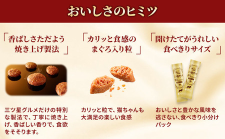 銀のスプーン三ツ星グルメ 香るお魚仕立て毛玉ケア お魚レシピ 240g×7箱 ペットフード キャットフード 猫のごはん 猫用フード 猫 ペット 小分け 個包装 ドライ ユニ・チャーム ペット