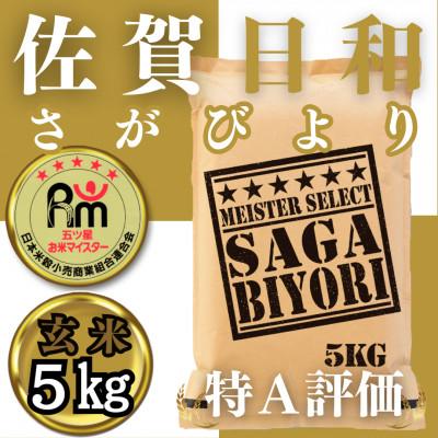 ふるさと納税 みやき町 令和6年産【玄米】さがびより5kg【五つ星お米マイスター厳選!】_SS476