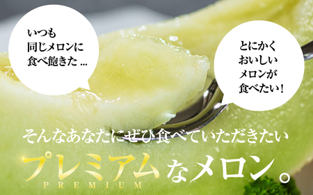 極上メロン 渥美の陽光-HIKARI- メロン めろん フルーツ 旬 果物 渥美半島 田原市 愛知県