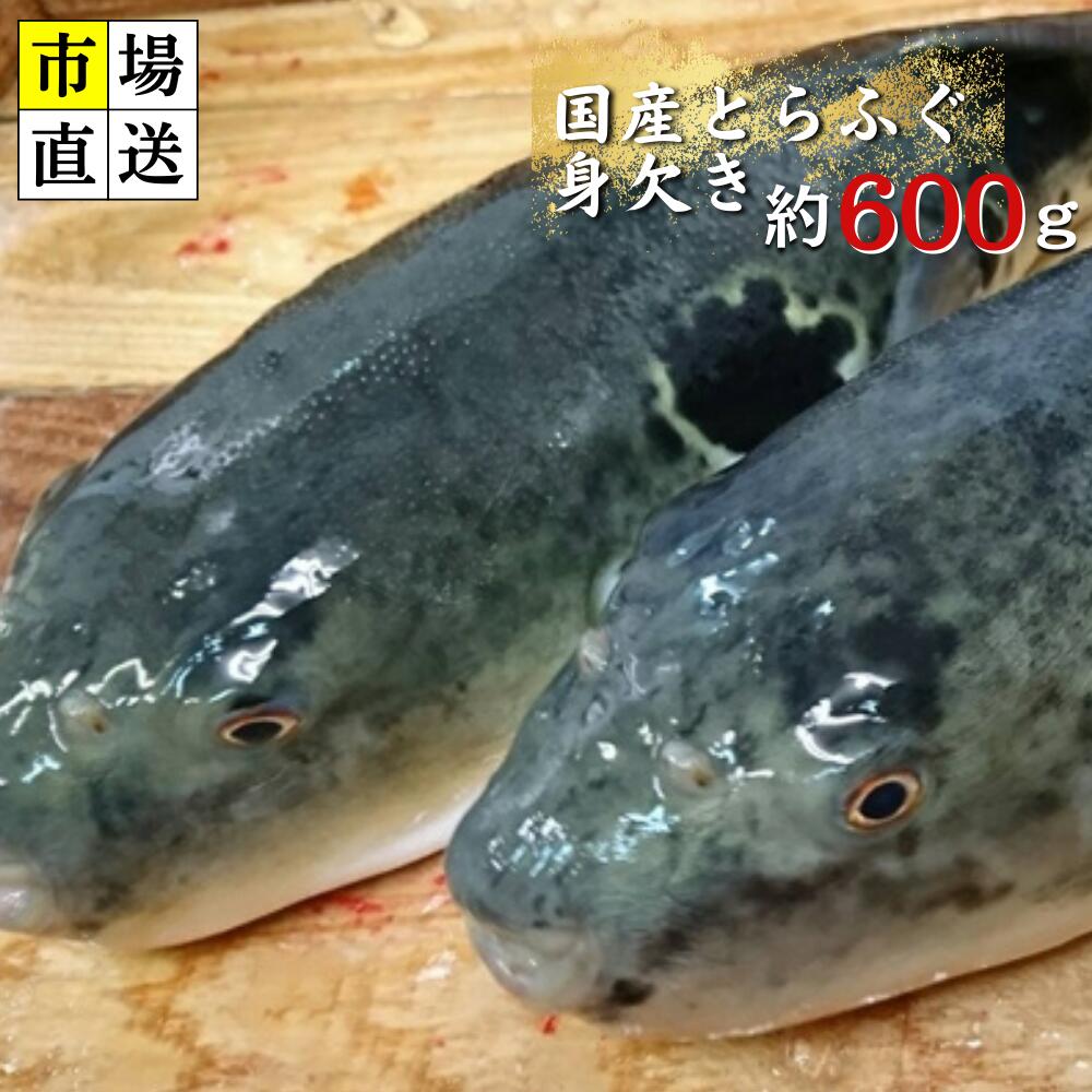【ふるさと納税】【北海道・東北・沖縄・離島配送不可／着日指定必須】市場直送！ふぐ 身欠き 1匹分 600g前後 山口県 宇部市 ふぐ ふぐ刺し 冷蔵 生 未冷凍 年内配送