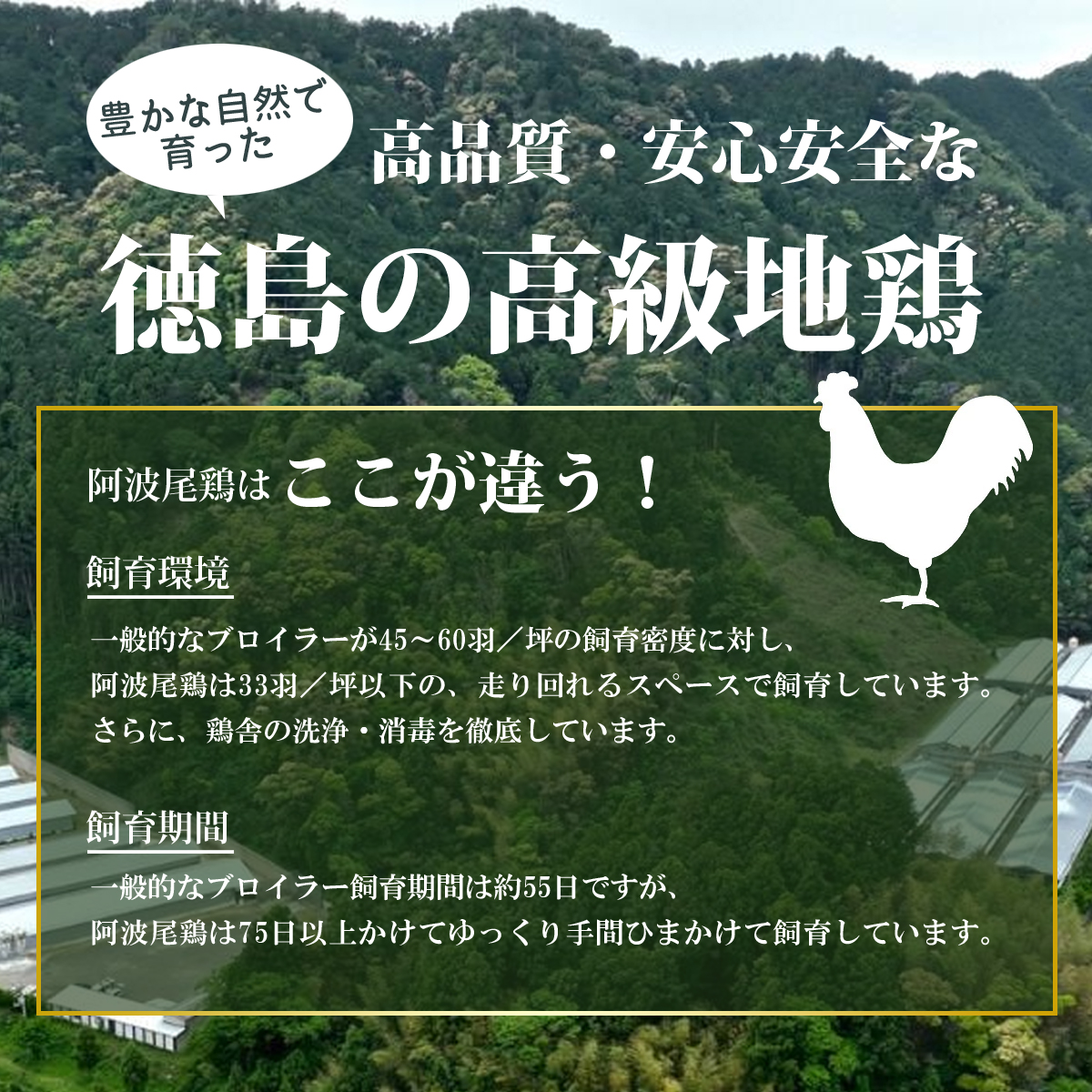 絶品！阿波尾鶏の焼き鳥串（40本）と手羽元１kgセット　