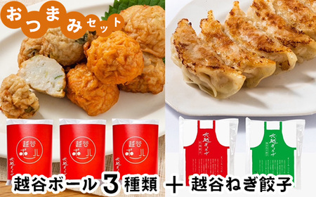 No.246 おつまみセット（越谷ボール3種類、越谷ねぎ餃子20個）