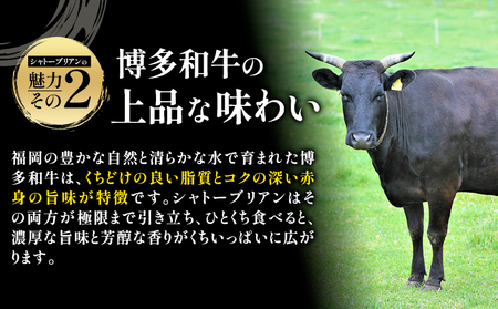 牛肉 博多和牛 シャトーブリアン 1kg 株式会社エム・ケイ食品【配送不可地域あり】《2月上旬-3月末頃出荷》肉 牛肉