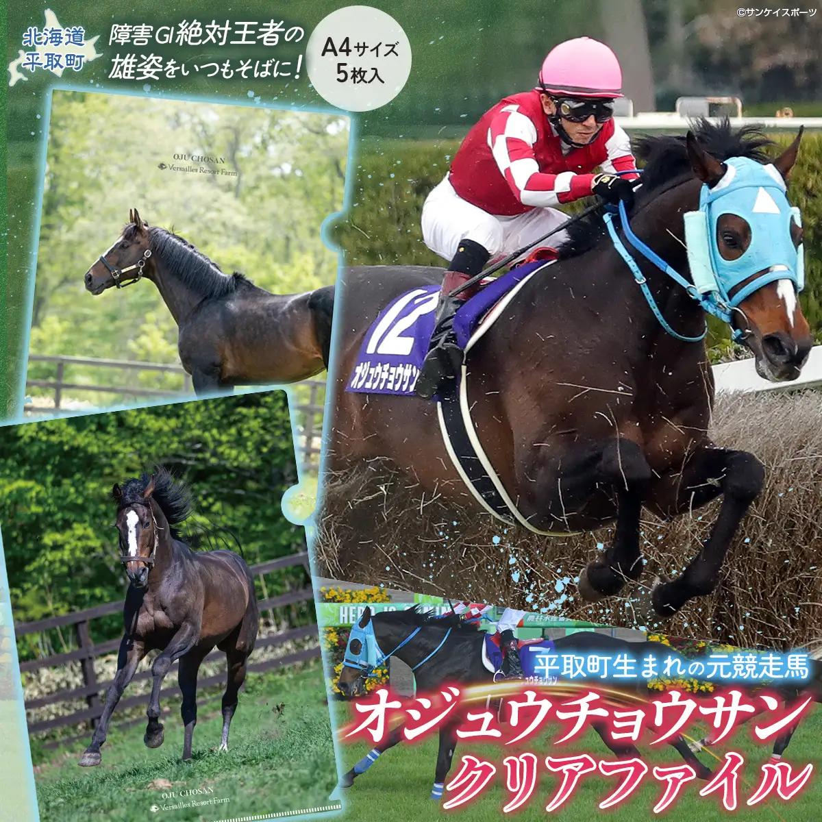 【オジュウチョウサン】クリアファイル（写真）5枚入り BRTV019