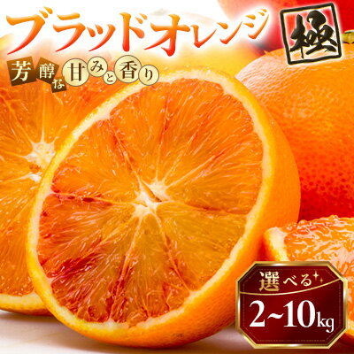 【ふるさと納税】【太陽をたっぷり浴びた】ブラッドオレンジ(タロッコ)【極】2kg/3kg/5kg/10kg_ ブラッドオレンジ オレンジ タロッコ おれんじ 果物 くだもの フルーツ デザート おいしい 甘い かんきつ 柑橘 【G1623958】