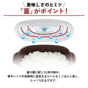 保存容器 真空 おひつ レンジ対応 真空おひつ 保存容器
