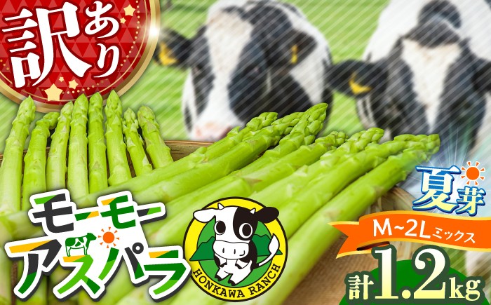 
                  【先行予約・訳あり】モーモーアスパラ 夏芽 M / L / 2L セット 1.2kg（6月上旬から順次発送） 酪農 牧場 こだわり アスパラガス アスパラ モーモーアスパラ 野菜 日田市 / 株式会社本川牧場 [ARAI034]
                