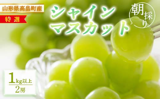 
≪先行予約≫2024年 山形県 高畠町産 朝採り 特選シャインマスカット 2房(1kg以上) 2024年9月中旬から順次発送 ぶどう ブドウ 葡萄 マスカット 大粒 種なし 高級 くだもの 果物 フルーツ 秋果実 産地直送 農家直送 数量限定 F20B-926
