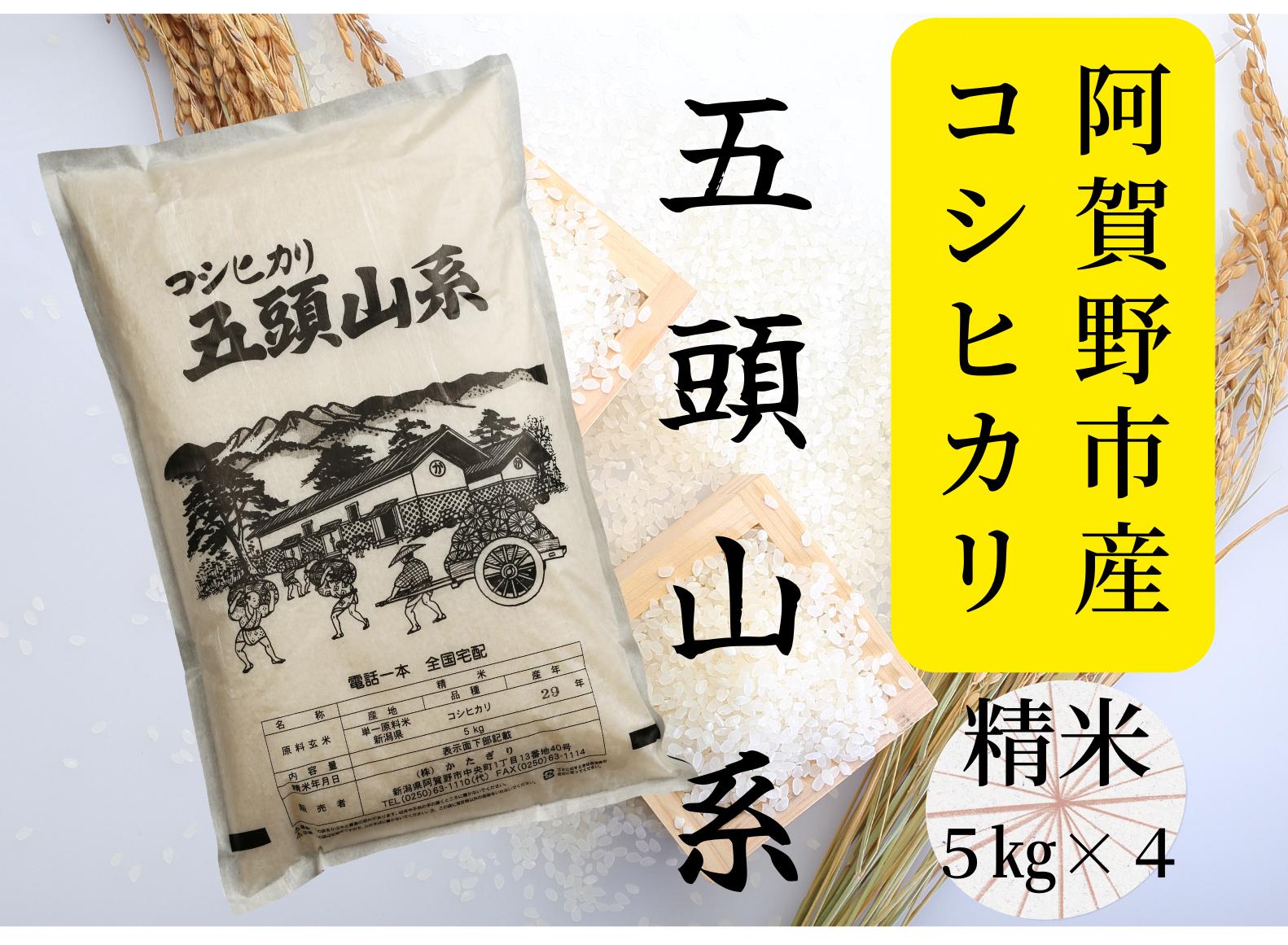 
            【新米】「米屋のこだわり阿賀野市産」コシヒカリ どーんと20kg (5kg×4袋)！ 1E03041
          